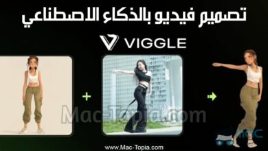 تحميل برنامج Viggle AI